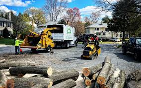 Professional  Tree Services in Fairfield Glade, TN